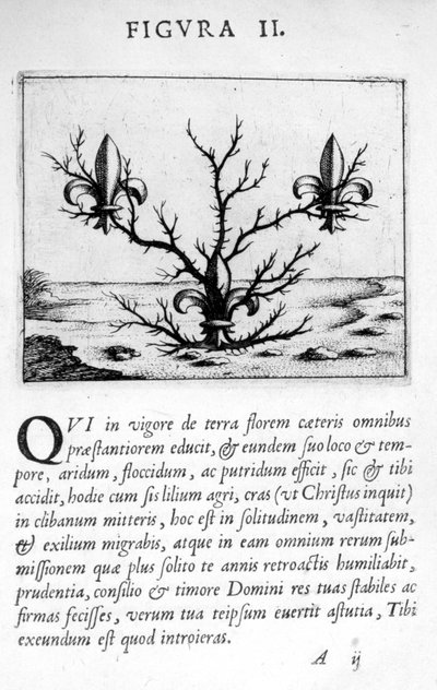Figura de profecía II de Prognosticatio Eximii Doctoris Paracelsi, 1536 de Theophrastus Bombastus von Hohenheim Paracelsus