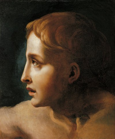 Cabeza de un joven de Theodore Gericault