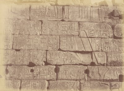Vista de cerca de inscripciones jeroglíficas y esculturas (Lista de las naciones derrotadas), Karnak de Théodule Devéria