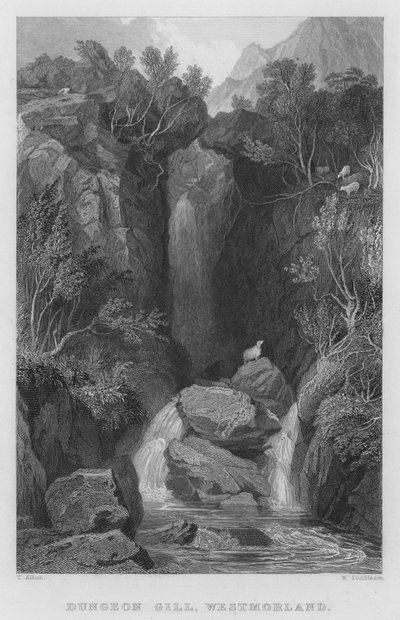Dungeon Gill, Westmorland de Thomas (after) Allom