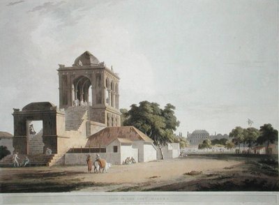 Vista en el Fuerte, Madura, lámina 40 de 