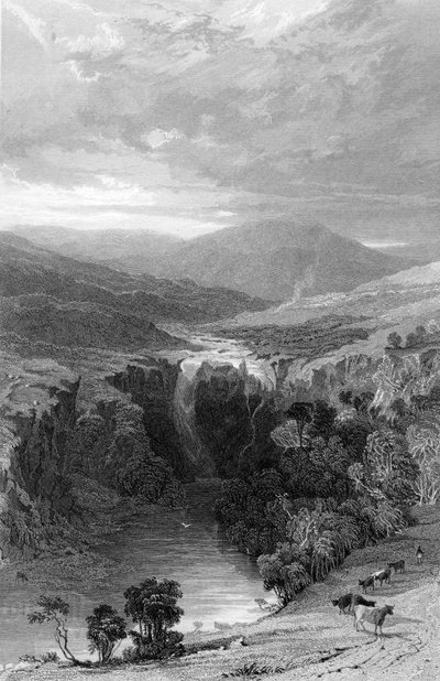 High Force por el Tees, Durham, c.1835 de Thomas Allom