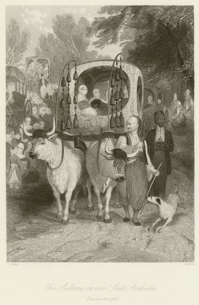 La Sultana en su Estado Arrhuba de Thomas Allom