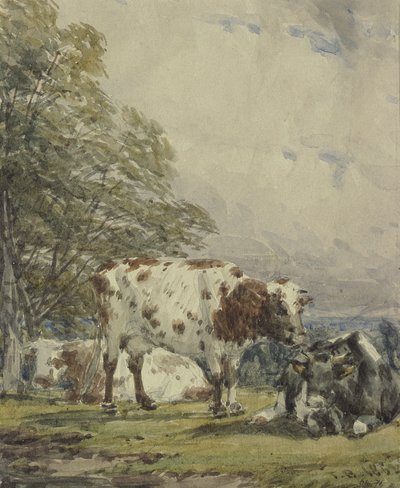 Estudio de ganado, siglo XIX de Thomas Baker