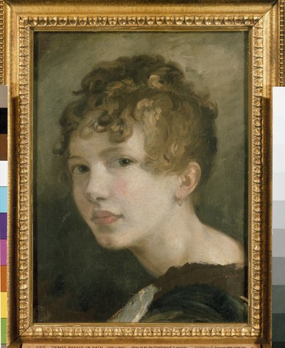 Retrato de la Srta. H.M. de Cardonnel Lawson, siglo XIX de Thomas Barker of Bath