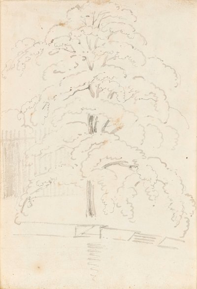 Estudio de un árbol sobre el agua (verso) de Thomas Baxter