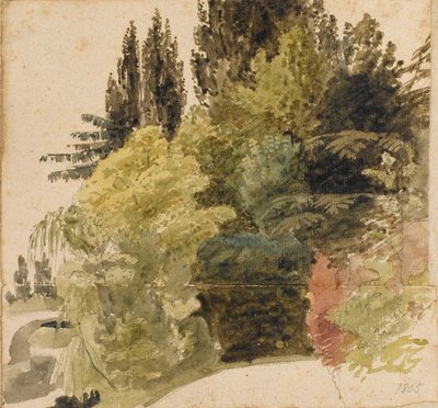 Estudio de los árboles de los terrenos de Merton Place de Thomas Baxter