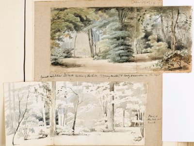Parte de los terrenos de Merton con un cenador y árboles de Thomas Baxter