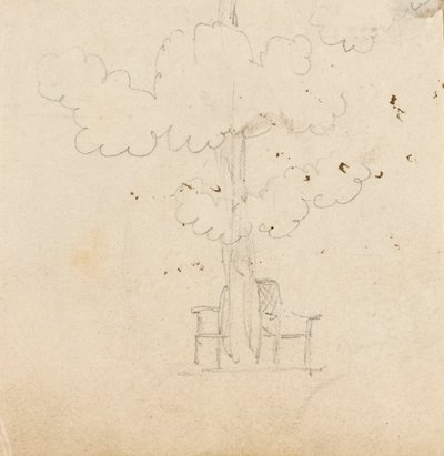 Estudio de un árbol con dos sillas a cada lado del tronco de Thomas Baxter
