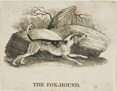 Perro de caza de Thomas Bewick