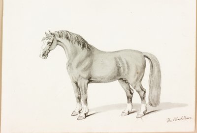 El Caballo Negro de Thomas Bewick