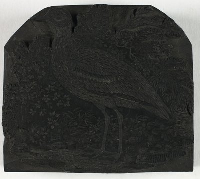 Bloque de madera para El gran chorlito, de Una historia de las aves británicas de Thomas Bewick