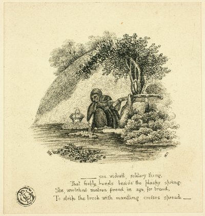 ...Cosa Solitaria Viuda de Thomas Bewick