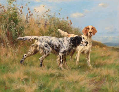 Dos setters ingleses de Thomas Blinks