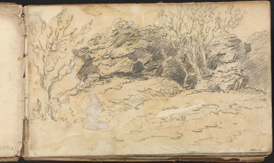 Álbum de estudios de paisajes y figuras: Bosquejo de árboles y rocas de Thomas Bradshaw