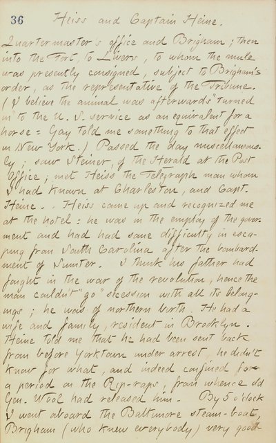 Diarios de Thomas Butler Gunn - Volumen 20, página 44, 4 de junio de 1862 de Thomas Butler Gunn