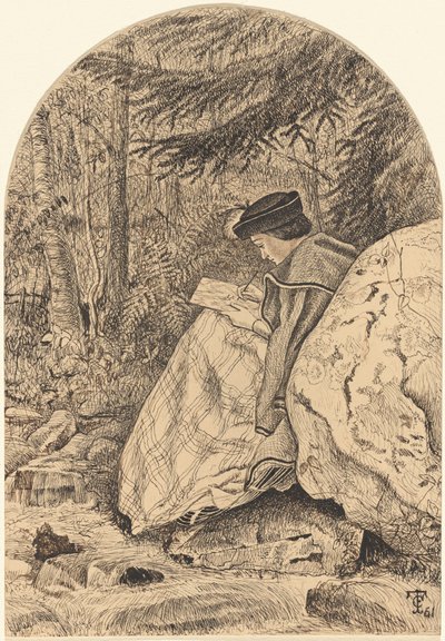 Dibujando de la naturaleza de Thomas C. Farrer