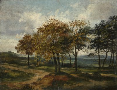 Paisaje boscoso de Thomas Churchyard