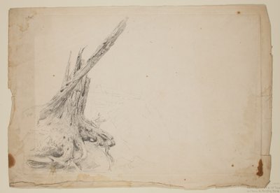 Tronco roto de un árbol (lápiz sobre papel) de Thomas Cole