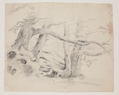 Robles y Hemlock Trees (lápiz sobre papel) de Thomas Cole