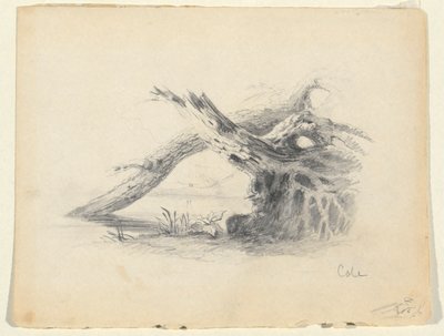 Bosquejo de dos árboles muertos de Thomas Cole