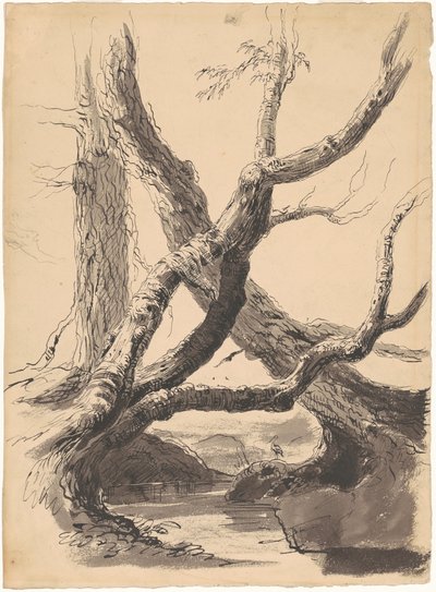 Troncos de árboles de Thomas Cole