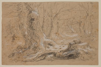 Trees in Winter with Man Standing on Frozen Creek (lápiz y gouache sobre papel) de Thomas Cole