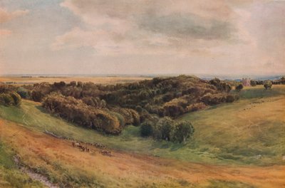 Parque de Arundel, 1874 de Thomas Collier
