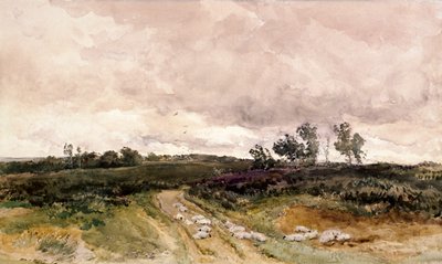 Escena de Páramo, 1878 de Thomas Collier