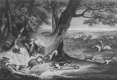Muerte del Zorro, 1793 de Thomas Cook