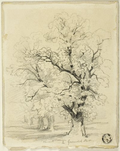 Ches[t]nut en Greenwich Park de Thomas Creswick