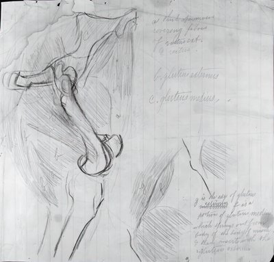 Dibujo anatómico de Thomas Eakins