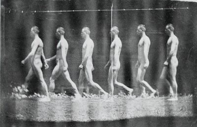 Fotografías de la rueda de Marey de Jesse Godley, 1884 de Thomas Eakins