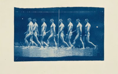 Fotografías de la rueda de Marey de Jesse Godley de Thomas Eakins