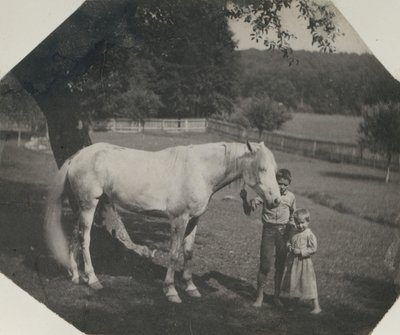 El caballo Billy de Thomas Eakins y dos niños Crowell en Avondale, Pensilvania, ca. 1892 de Thomas Eakins