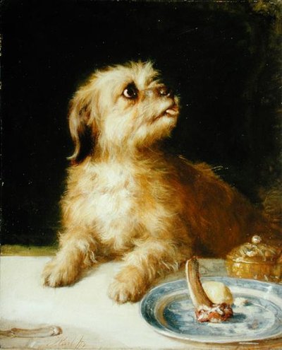 Terrier de Norfolk de Thomas Earl