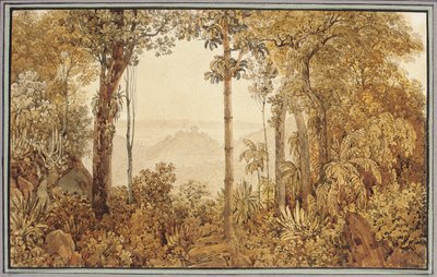 Vista sobre Río de Janeiro desde el bosque de Tijuca de Thomas Ender