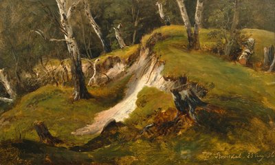 Poblaciones de Birck en Romsdal de Thomas Fearnley