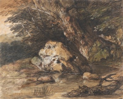 Piscina en el bosque con rocas y plantas de Thomas Gainsborough