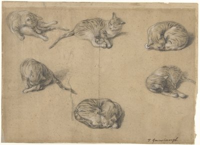 Seis estudios de un gato de Thomas Gainsborough