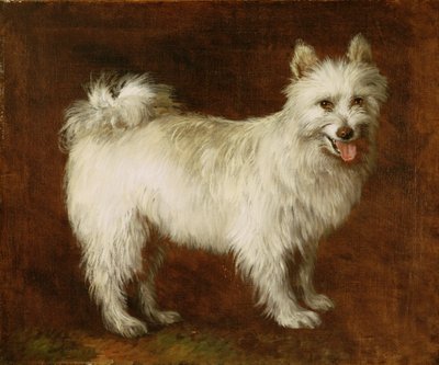 Perro Spitz, c.1760-70 de Thomas Gainsborough