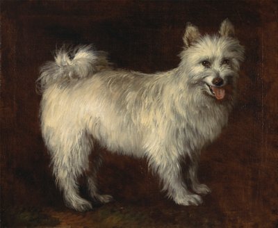 Perro Spitz de Thomas Gainsborough RA