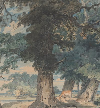 Ciervos en el bosque de Windsor, 1793-94 de Thomas Girtin