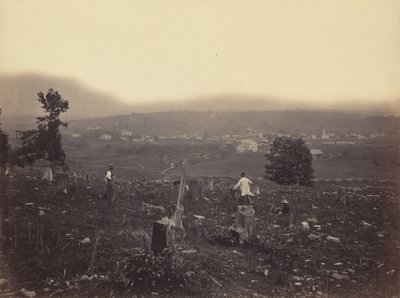 Waymart, Del. & Hudson Canal Co., c. 1863-1865 de Thomas H. Johnson