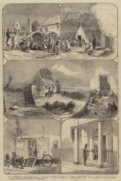 Censo de Thomas Harrington Wilson
