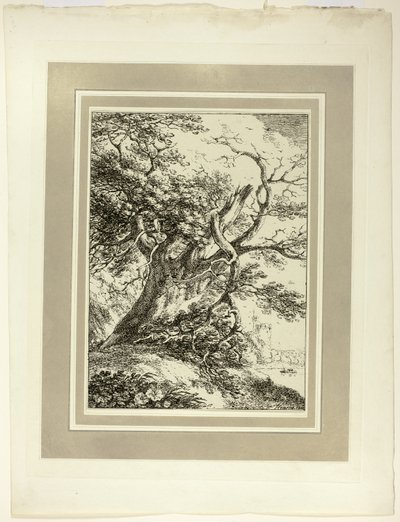 Árbol viejo, del primer número de Especímenes de Poliautografía de Thomas Hearne