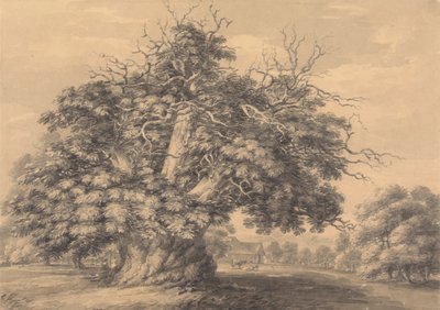 El castaño de Little Wymondley, Hertfordshire de Thomas Hearne