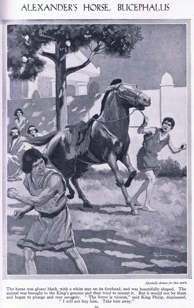 El caballo de Alejandro, Bucéfalo: el caballo era negro brillante con una estrella blanca en la frente, c.1950 (litografía) de Thomas Heath Robinson