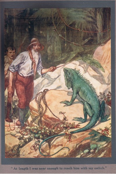 Al final estuve lo suficientemente cerca para alcanzarle con mi interruptor (litografía en color) de Thomas Heath Robinson