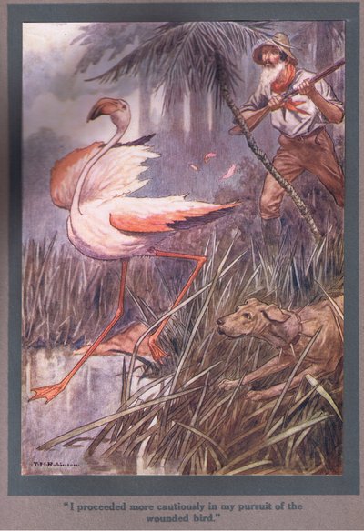 Procedí con más cautela en mi persecución del pájaro herido (litografía en color) de Thomas Heath Robinson